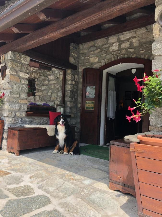Hotel La Grange - Animal Chic Hotel Courmayeur Exteriér fotografie