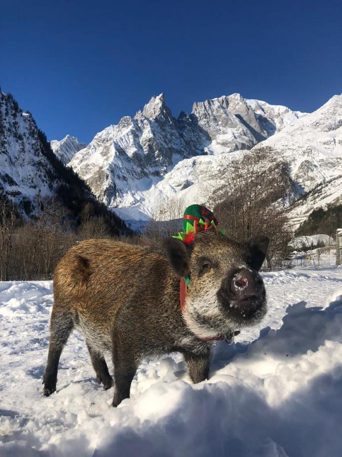 Hotel La Grange - Animal Chic Hotel Courmayeur Exteriér fotografie