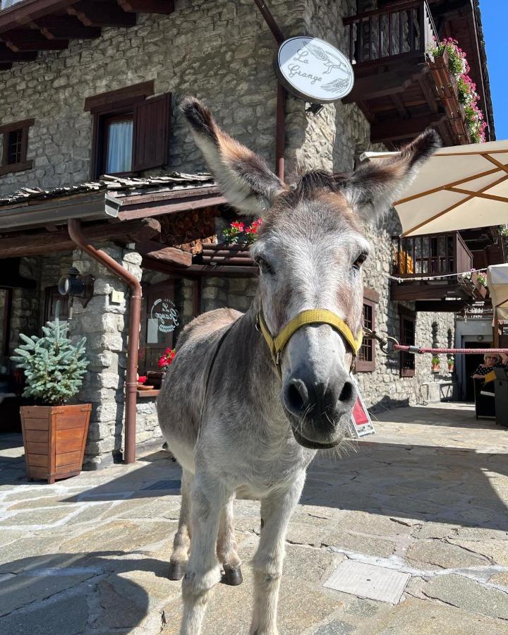 Hotel La Grange - Animal Chic Hotel Courmayeur Exteriér fotografie
