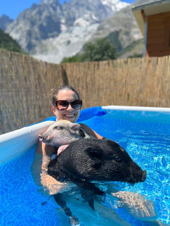Hotel La Grange - Animal Chic Hotel Courmayeur Exteriér fotografie